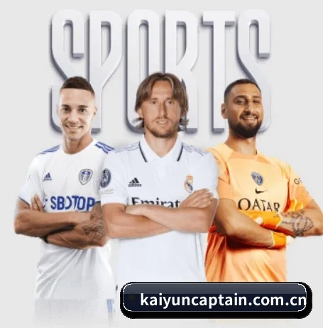 kaiyun APP 界面